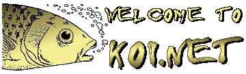 Welcome to KOI.NET